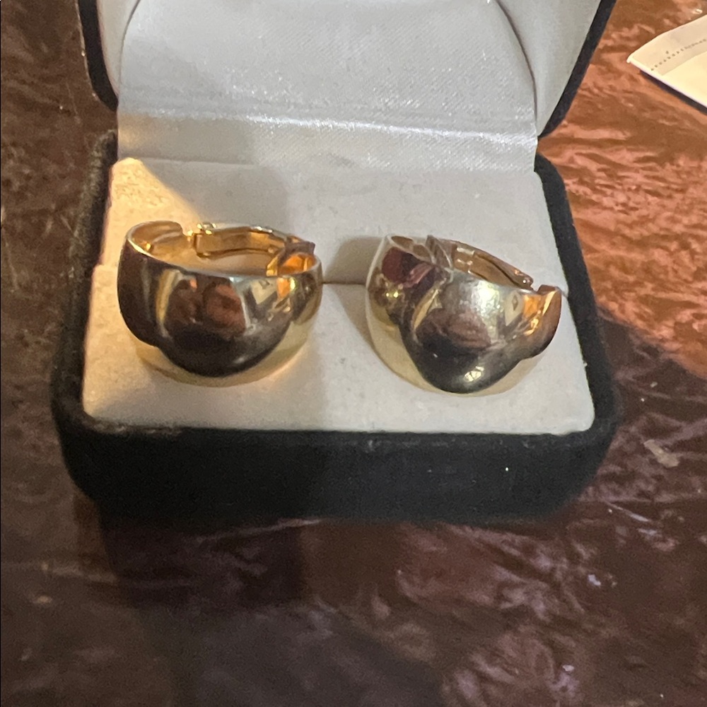 Chic Gold Hoop Earrings